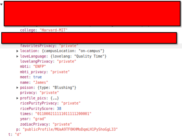 Profile JSON, mostly unredacted